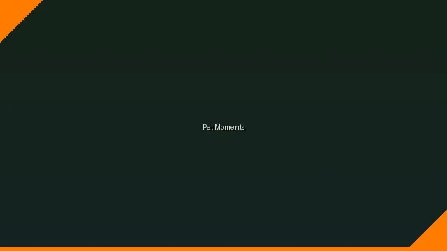 萌宠时刻主题赛 - MGM贵宾会网址 UGC视频竞赛